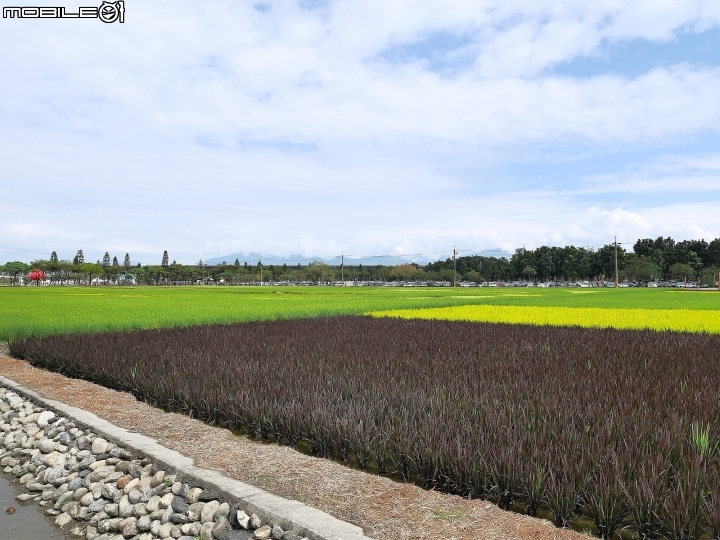 屏東 長治 2019屏東熱帶農業博覽會 — 新年走春好去處