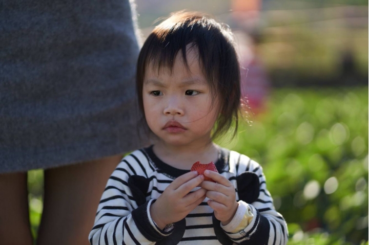 FE 85mm F1.8 入手心得