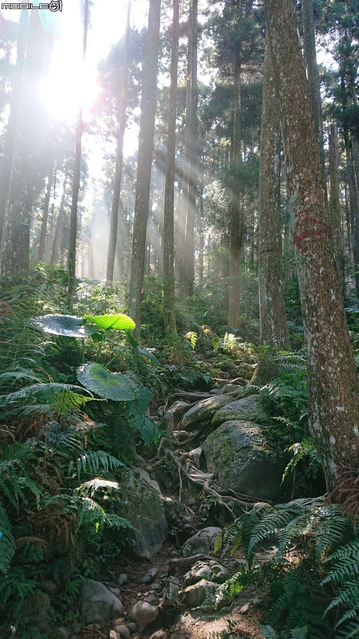美美的山上人家