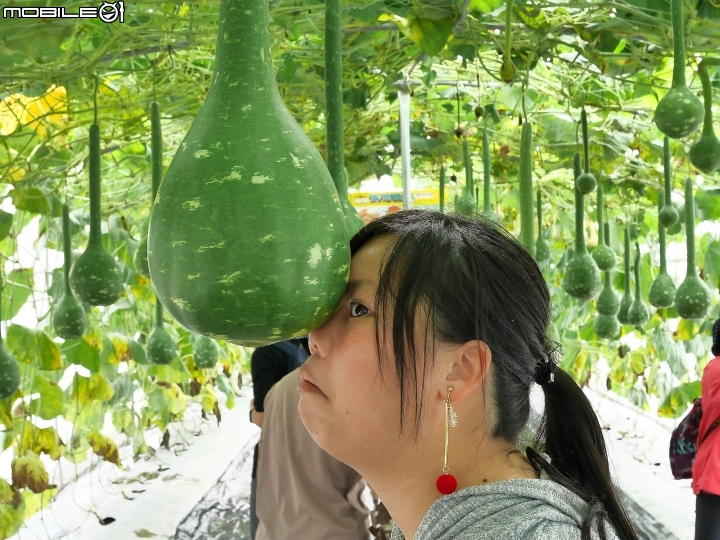 屏東 長治 2019屏東熱帶農業博覽會 — 新年走春好去處