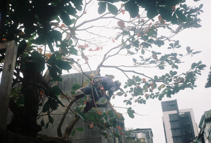 [Ricoh 35EFS]溫羅汀康青龍街區散步趣[Kodak 200]