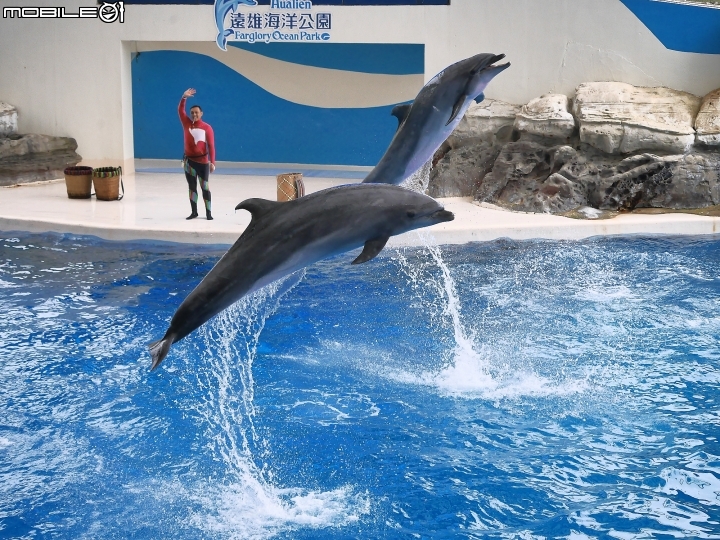 花蓮 壽豐 遠雄海洋公園 — 老少咸宜的遊樂區
