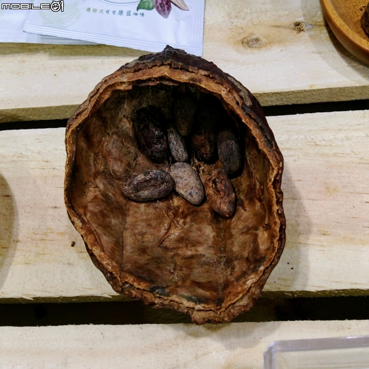 熱帶農業博覽會 屏東縣長治鄉德和路 02/05