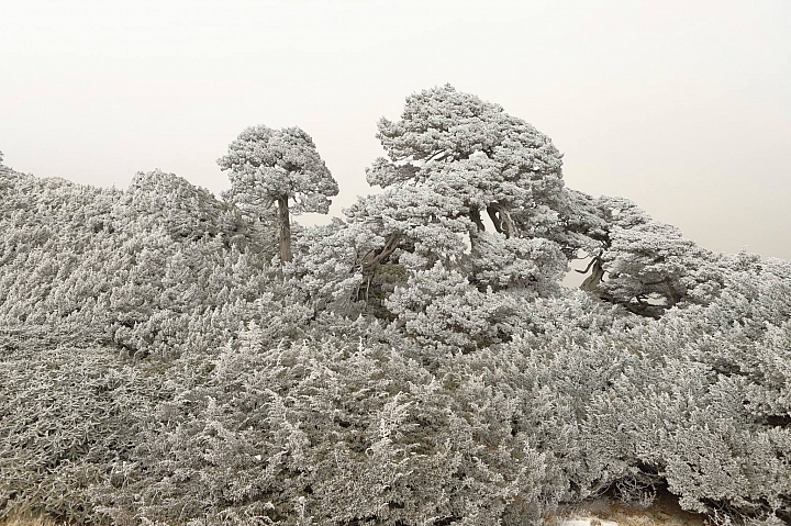 201901雪山下翠池