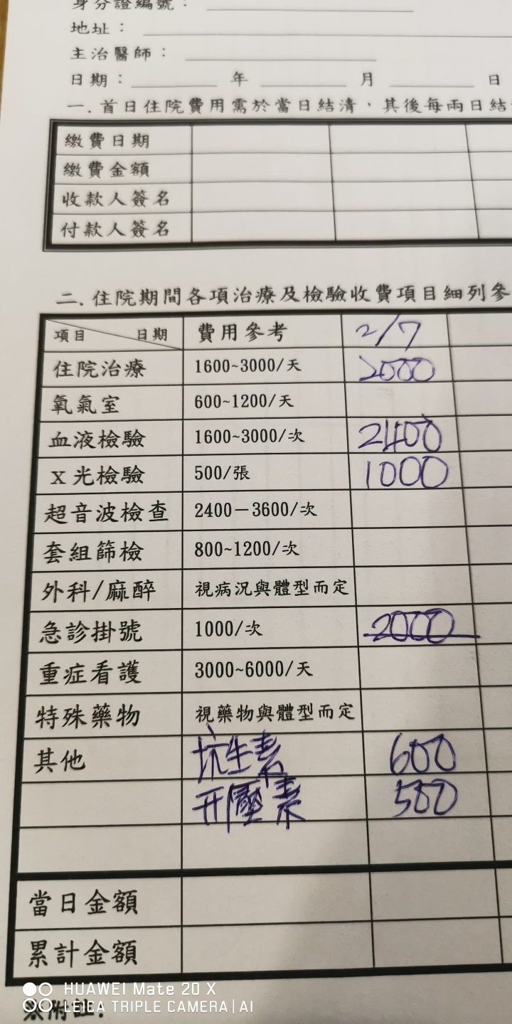 狗狗車禍受傷，主人協尋