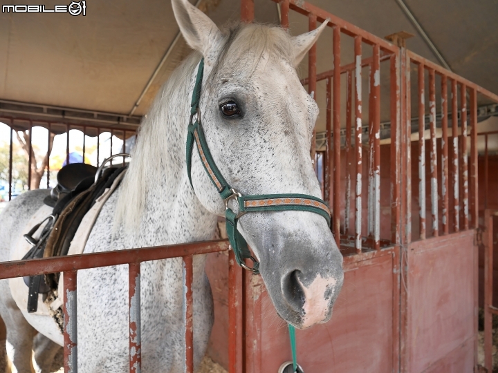 屏東 長治 2019屏東熱帶農業博覽會 — 新年走春好去處