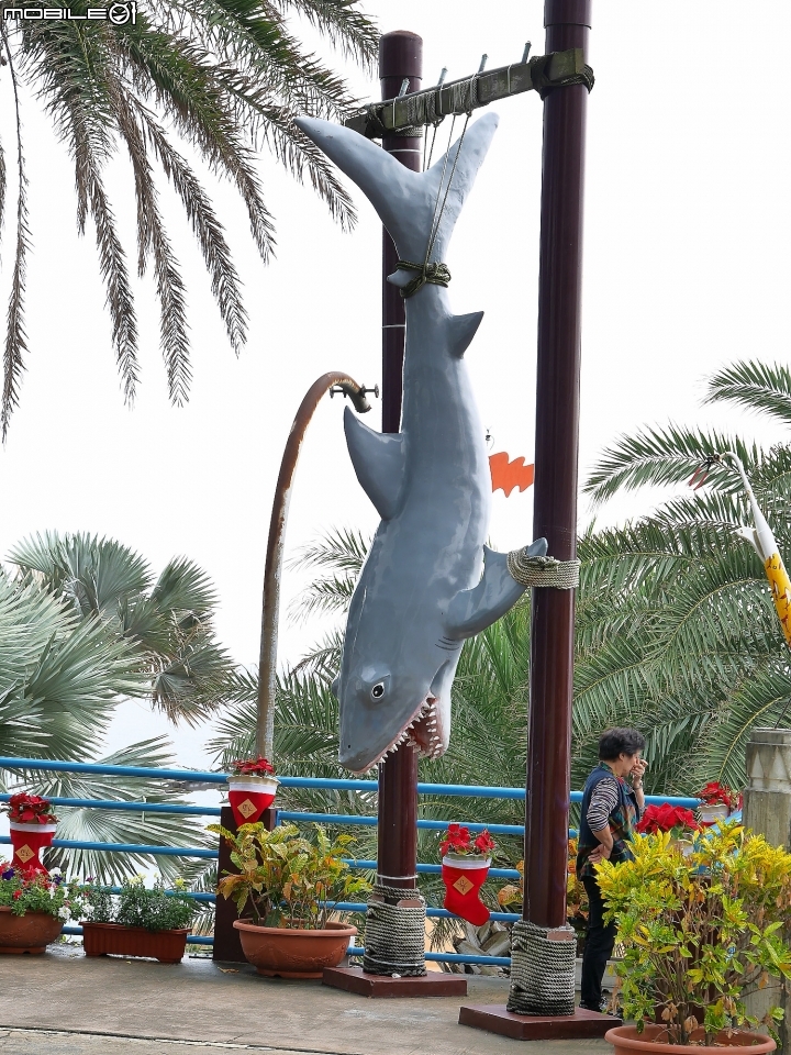 花蓮 壽豐 遠雄海洋公園 — 老少咸宜的遊樂區