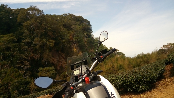 相隔十年的南投線浸林道