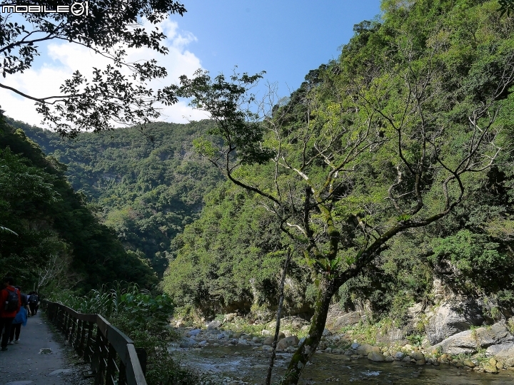 花蓮 秀林 砂卡礑步道 — 深訪鬼斧神工與神秘靛藍