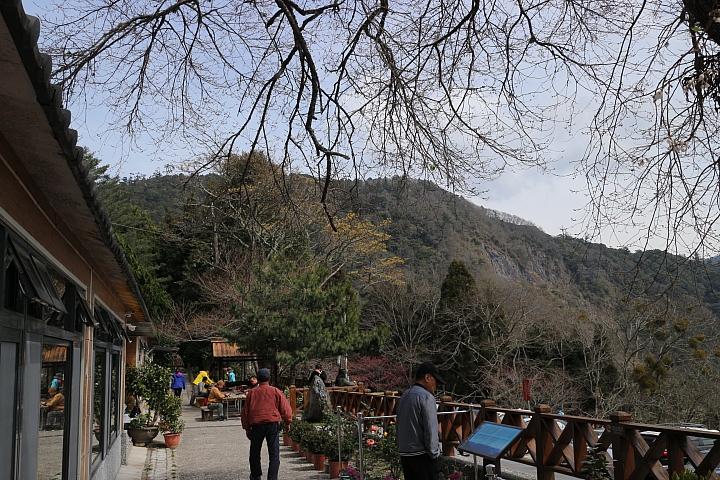 五峰鄉觀霧，神木步道，瀑布步道