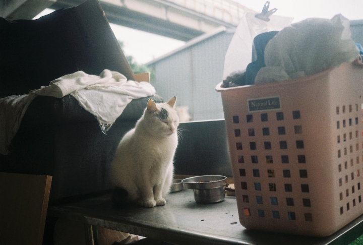 [Ricoh 35EFS]溫羅汀康青龍街區散步趣[Kodak 200]