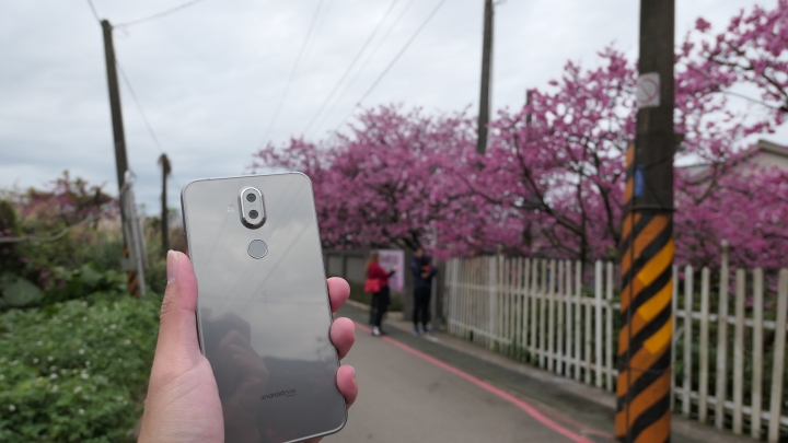 帶著Nokia8.1賞櫻去 2019櫻花盛開