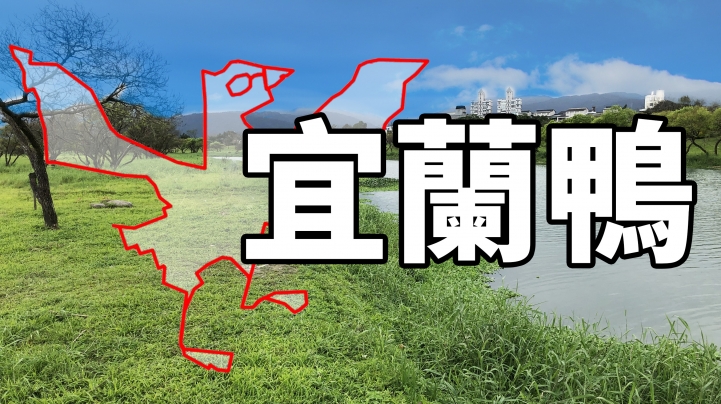 宜蘭市 5處我常去的綠色景點,都在「宜蘭櫻桃鴨」路線一次串連起來了