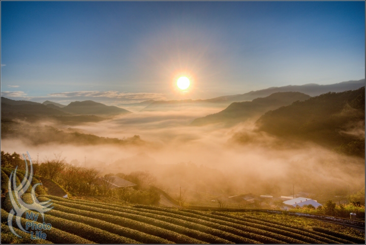 小年夜．坪林茶園銀河