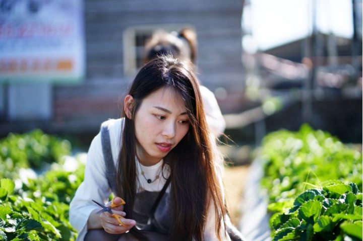 FE 85mm F1.8 入手心得