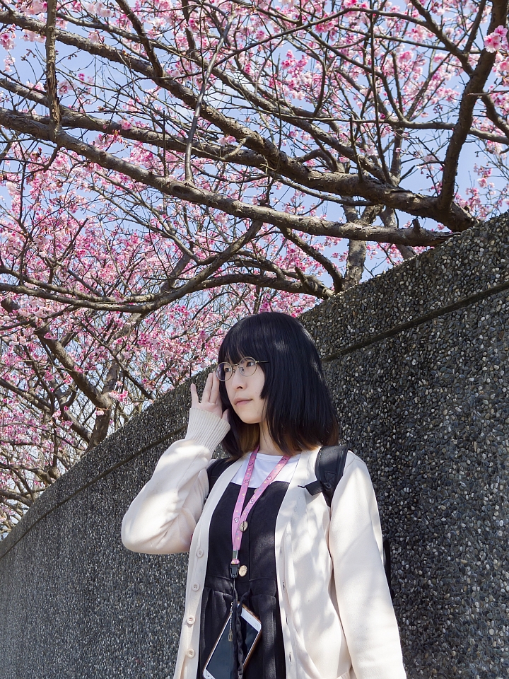 Pentax Q System : 2019年的心得總結