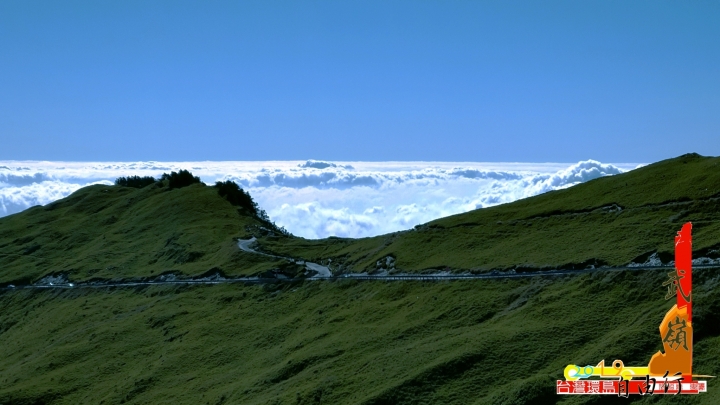 我的狗狗肉 「台灣環島」自由行，還有合歡山哦~