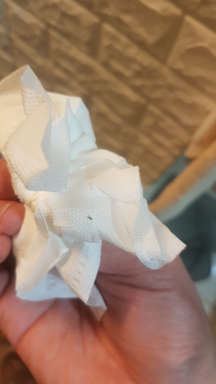 假磚牆上有很多隻像白蟻的東西