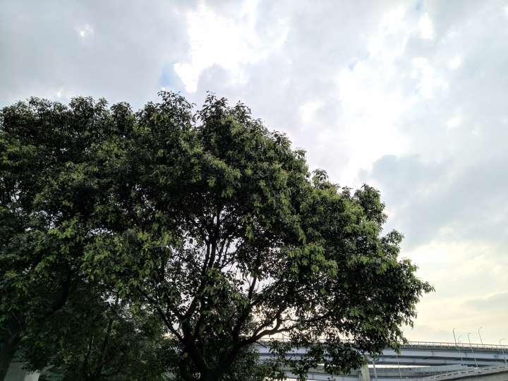 Zenfone Max Pro (M2) GCam照片分享