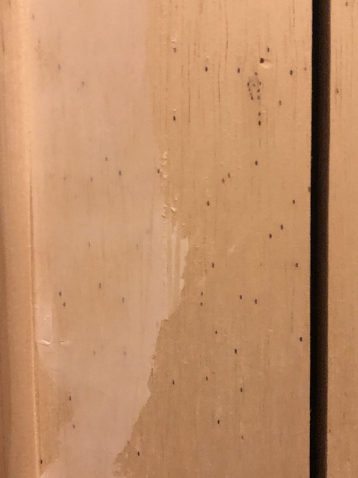 請各方達人幫忙看看，這是蟲洞嗎？