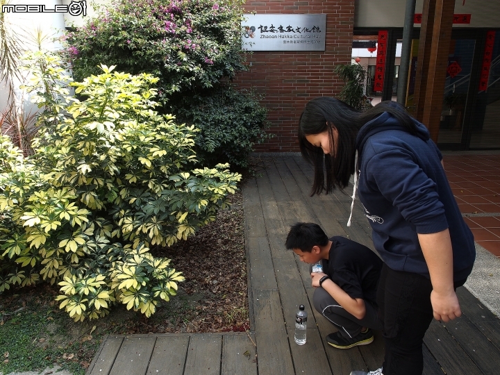 雲林 崙背 詔安客家文化館 — 追尋詔安客家人的足跡