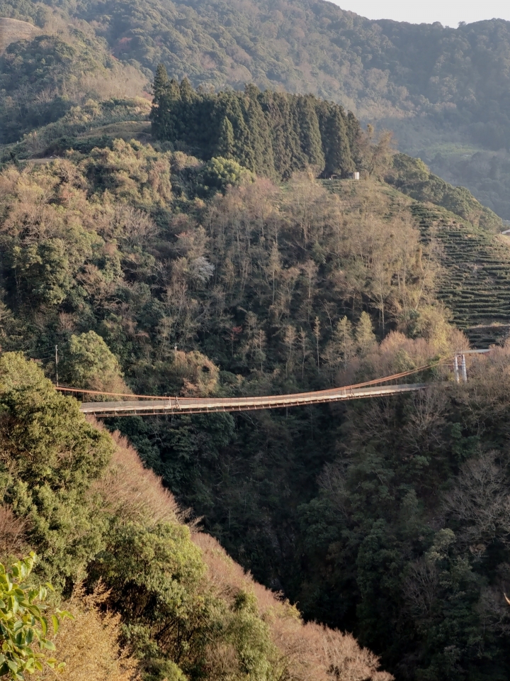 紅香泡湯 福壽露營 武陵賞花 2019-2-18~20