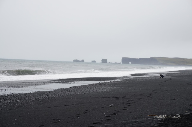 [大頭貓的海島] 冰島 黑沙灘 Reynisfjara (Black Sand Beach)