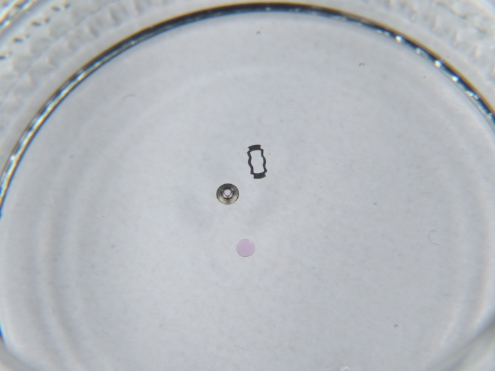 自娛玩修錶 - Seiko Presage SARX019 (cal. 6R15)