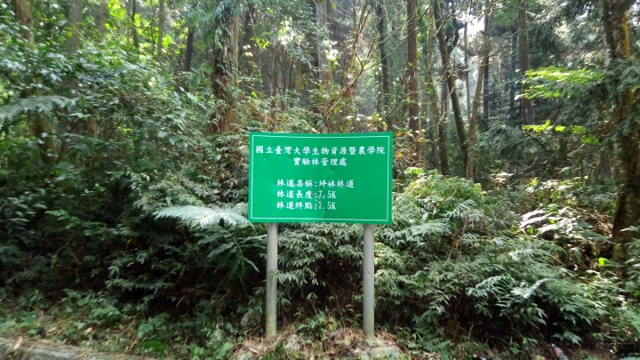 相隔十年的南投線浸林道
