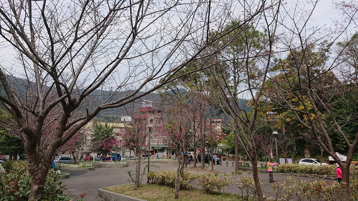 路況全紀錄 124縣道 南庄 蓬萊 仙山 獅潭 - 130縣道 大湖鄉八份至三義