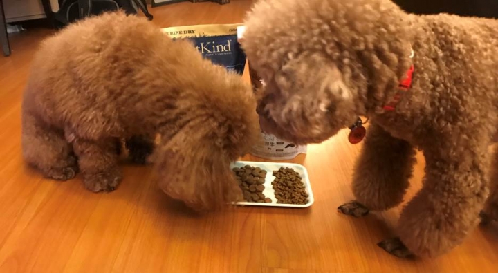 [分享] 老饕汪的新歡飼料-PetKind