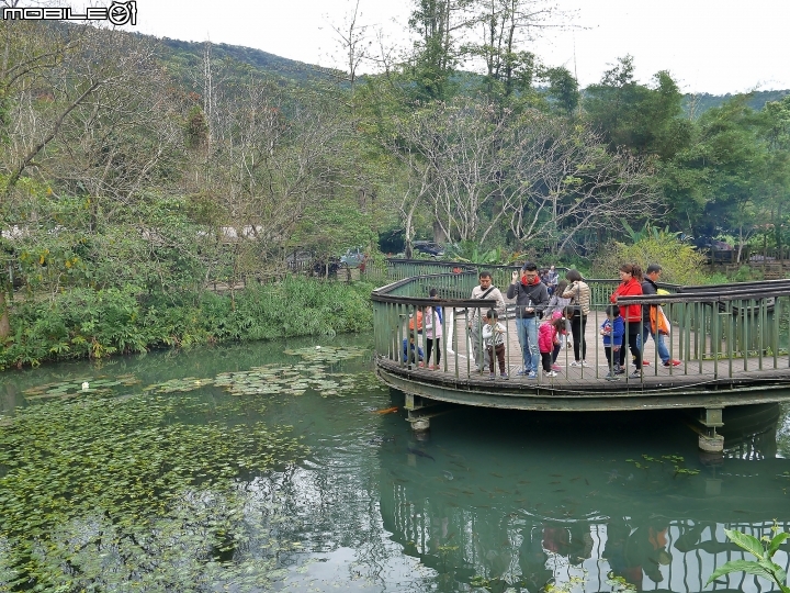 花蓮 光復 馬太鞍休閒農業區 — 全花蓮最大內陸濕地,花東縱谷綠珍珠