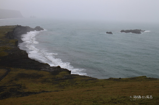 [大頭貓的海島] 冰島 海鸚鵡 Puffin
