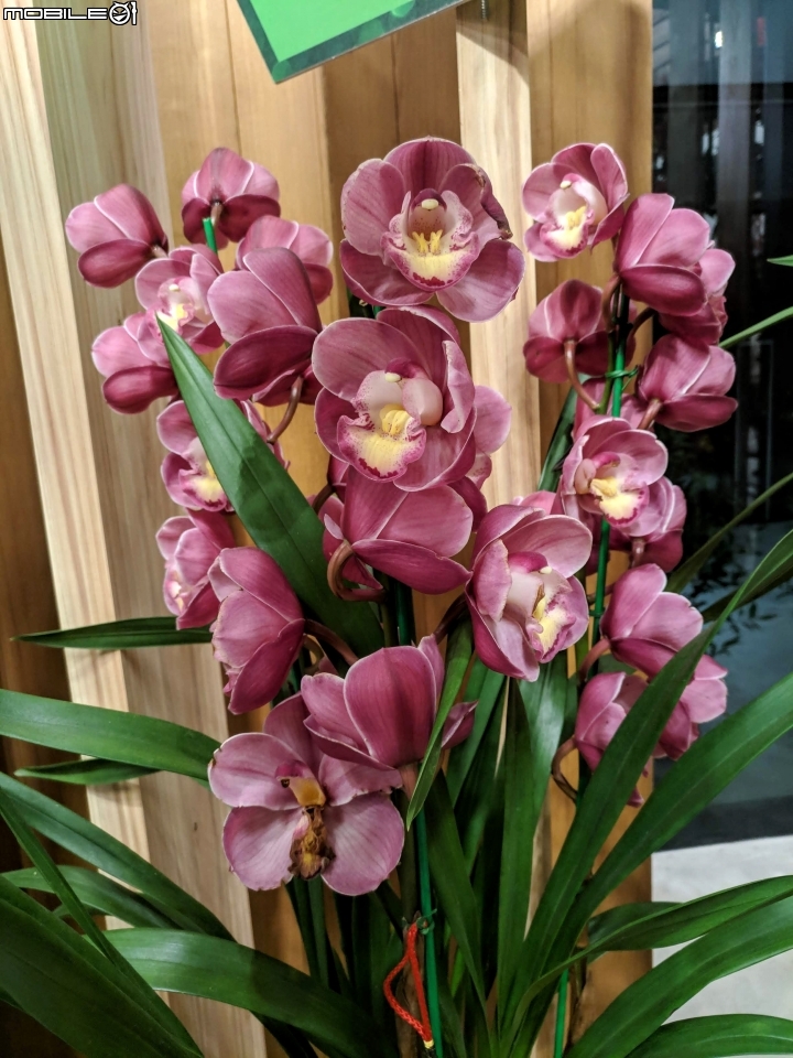 台中花博后里園區花舞館 02/6
