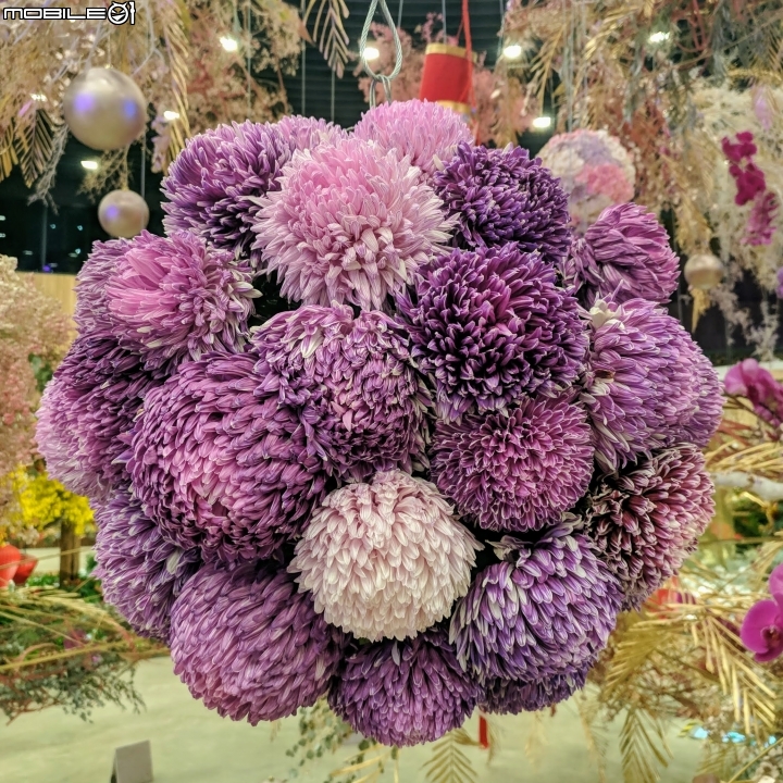 台中花博后里園區花舞館 02/6