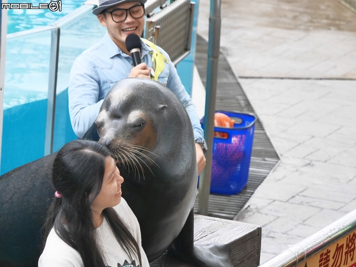 花蓮 壽豐 遠雄海洋公園 — 老少咸宜的遊樂區