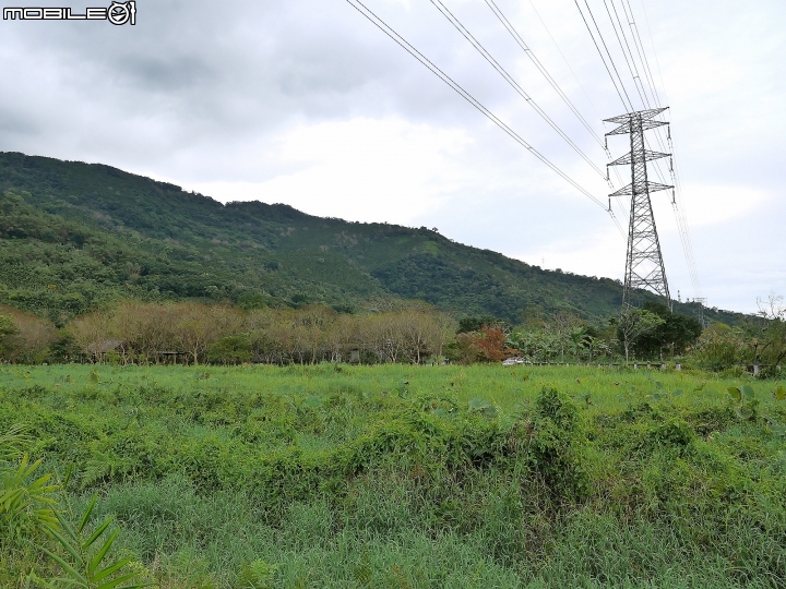 花蓮 光復 馬太鞍休閒農業區 — 全花蓮最大內陸濕地,花東縱谷綠珍珠