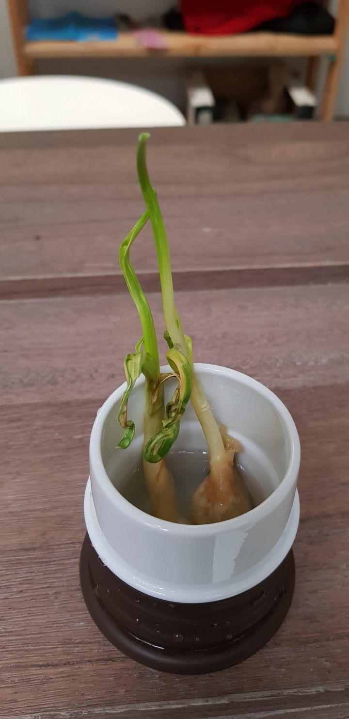 蒜...