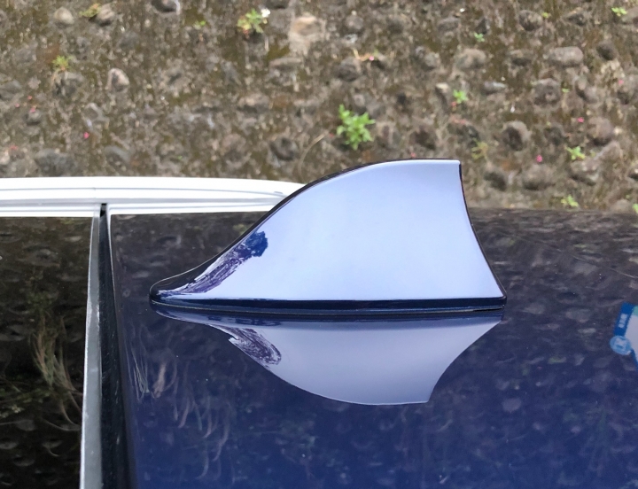 18 CARENS 柴油旗艦 使用/購車/賞車 心得持續更新