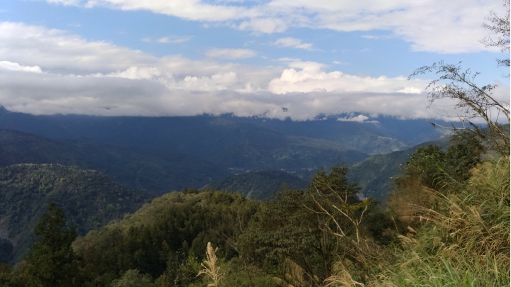 今天把我的gogoro騎上太平山，不過下場有點悲劇