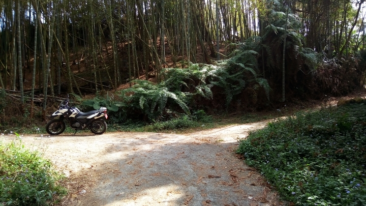 相隔十年的南投線浸林道