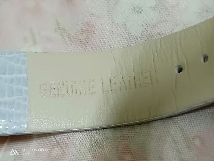 這隻古歐的手錶是不是正版