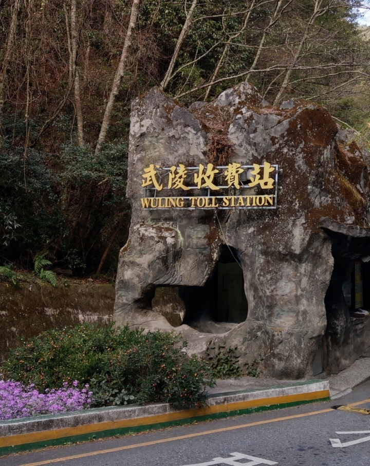 紅香泡湯 福壽露營 武陵賞花 2019-2-18~20