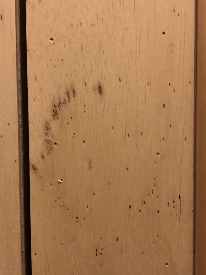 請各方達人幫忙看看，這是蟲洞嗎？