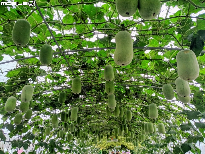 熱帶農業博覽會 屏東縣長治鄉德和路 02/05