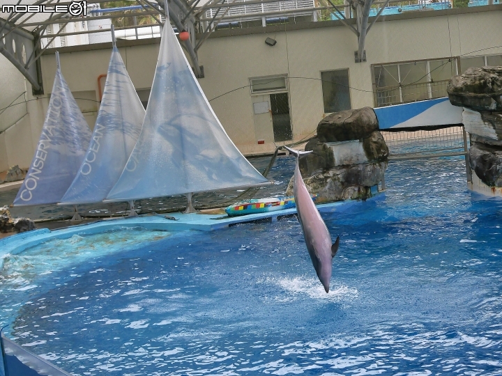 花蓮 壽豐 遠雄海洋公園 — 老少咸宜的遊樂區