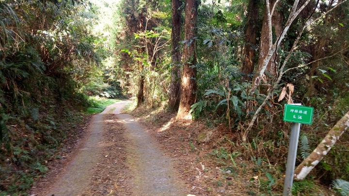 相隔十年的南投線浸林道