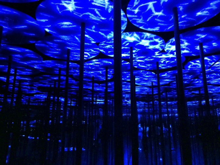 【日本 • 東京】台場TeamLab～令人驚豔的數位藝術美術館