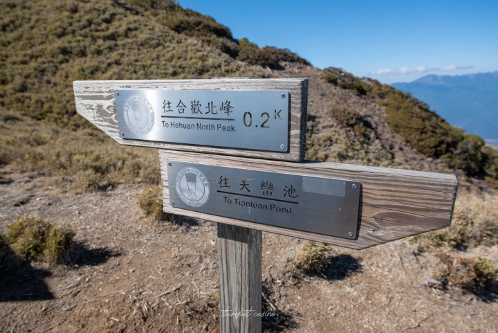 走在雲端上看見台灣之美—去看合歡北峰上的大草原與反射板