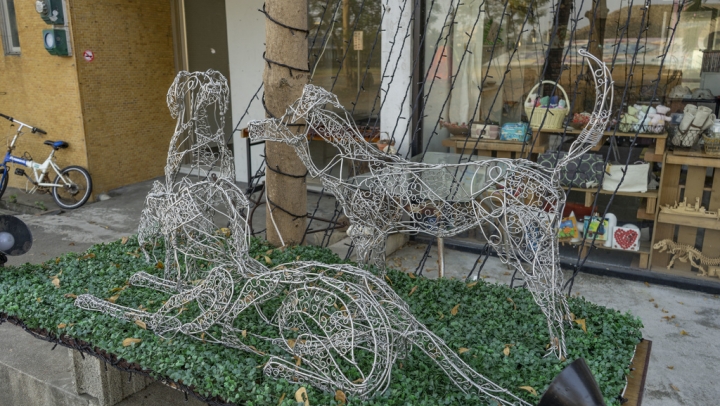 愛在枋寮，枋寮燈會邀請您一起見證愛的美麗